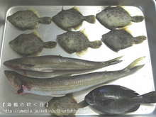 釣った魚で薩摩揚げ たっぷり野菜入り レシピ 作り方 By 福岡ノエフ クックパッド 簡単おいしいみんなのレシピが352万品