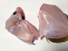 絶品カワハギの肝和え さばき方 レシピ 作り方 By マリンブルーマリン クックパッド 簡単おいしいみんなのレシピが368万品