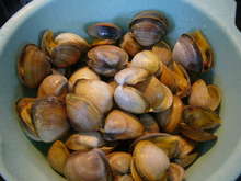 バカガイ いえ シオフキ 貝 の処理 レシピ 作り方 By フィノ クックパッド 簡単おいしいみんなのレシピが354万品