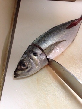 アジフライ用 きれいなあじの開き方 レシピ 作り方 By しんサバオ クックパッド 簡単おいしいみんなのレシピが371万品