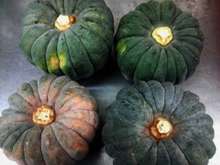 究極のかぼちゃの煮物 小菊南瓜使用 レシピ 作り方 By 実月 クックパッド 簡単おいしいみんなのレシピが353万品