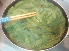 お料理に 自家製乾燥ローリエの作り方 レシピ 作り方 By Chocomos クックパッド 簡単おいしいみんなのレシピが367万品