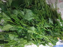 簡単 シソの実と生姜の佃煮 彡 レシピ 作り方 By 平野平地の水車小屋 クックパッド 簡単おいしいみんなのレシピが359万品