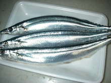 骨嫌いさん必見 秋刀魚のおいしい食べ方 レシピ 作り方 By 1月2月 クックパッド 簡単おいしいみんなのレシピが353万品