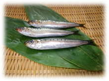 イワシ料理のいろいろ レシピ 作り方 By はなまる部長 クックパッド 簡単おいしいみんなのレシピが353万品