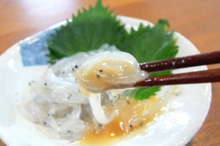 シラウオの刺身 レシピ 作り方 By なべ いばらき クックパッド 簡単おいしいみんなのレシピが356万品