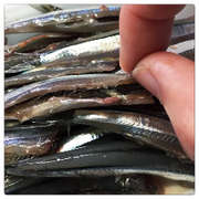 きびなご 手開きで 簡単 お刺身 レシピ 作り方 By Pomi クックパッド 簡単おいしいみんなのレシピが361万品