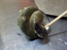 磯ものを食い尽くす イボニシ レシピ 作り方 By Lyow クックパッド 簡単おいしいみんなのレシピが371万品