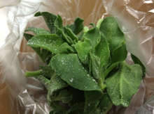 アイスプラント 凍らせて レシピ 作り方 By はんちくたい クックパッド 簡単おいしいみんなのレシピが351万品