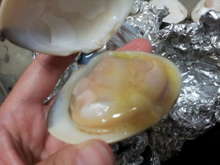 はまぐりの貝柱をきれいに取る焼き方 レシピ 作り方 By 築地魚河岸の嫁 クックパッド 簡単おいしいみんなのレシピが356万品