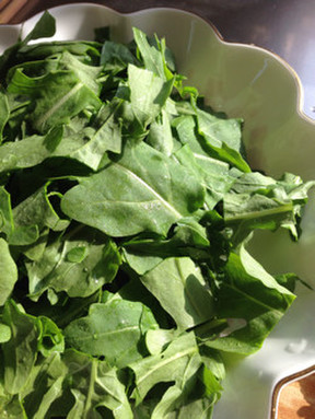 ルッコラのサラダ レモンビネグレット添え レシピ