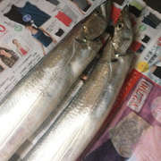 圧力鍋で煮魚 太刀魚 さんま レシピ 作り方 By ラブチェリーズ クックパッド 簡単おいしいみんなのレシピが362万品