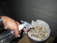 黒にんにく作り 低臭対策 レシピ 作り方 By クック1dcg3p クックパッド