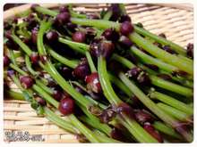 山菜 ミズの実 醤油漬け レシピ 作り方 By Skipとうちゃん クックパッド 簡単おいしいみんなのレシピが356万品