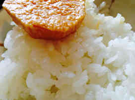 7c0943df89380ce2ba36cf000b6f4026