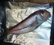甘鯛の塩焼き