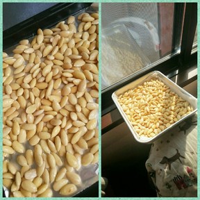 トフィーアーモンドタイルのレシピ