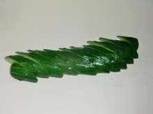 飾り切り きゅうりで作る葉っぱ です レシピ 作り方 By Snow Love クックパッド 簡単おいしいみんなのレシピが360万品