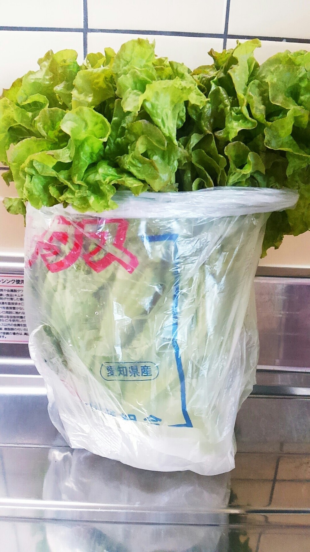 やわらかい葉物野菜 サニーレタスってどのように保存したらいいの やわらかい葉物野菜 サニーレタスってどのように保存したらいいの