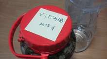 健康に 美味しいドクダミ酒 レシピ 作り方 By マリゴン25 クックパッド 簡単おいしいみんなのレシピが351万品