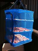 次郎柿で干し柿 レシピ 作り方 By Arisu クックパッド 簡単おいしいみんなのレシピが359万品