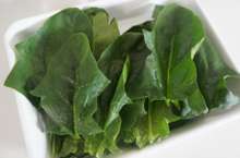 離乳食初期 だしで作るほうれん草ペースト レシピ 作り方 By 乾物屋の岡山中央水産 クックパッド 簡単おいしいみんなのレシピが366万品