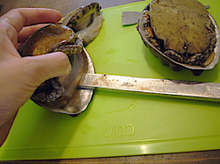 アワビ 殻の取り外し方 レシピ 作り方 By ななこ丼 クックパッド 簡単おいしいみんなのレシピが361万品