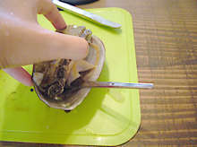アワビ 殻の取り外し方 レシピ 作り方 By ななこ丼 クックパッド 簡単おいしいみんなのレシピが361万品