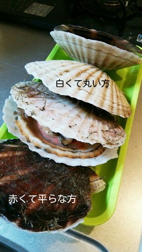 グリーンホタテ貝のタコスのレシピ