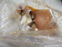 太刀魚の柚子胡椒醤油漬け焼き レシピ 作り方 By Oharumin クックパッド 簡単おいしいみんなのレシピが375万品