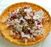 ソメイヨシノで 桜の塩漬け レシピ 作り方 By 桜 Mochi クックパッド 簡単おいしいみんなのレシピが358万品