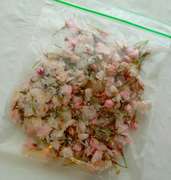 ソメイヨシノで 桜の塩漬け レシピ 作り方 By 桜 Mochi クックパッド 簡単おいしいみんなのレシピが358万品