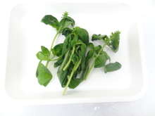 食品乾燥機でドライハーブの作り方 バジル レシピ 作り方 By ラボネクト クックパッド 簡単おいしいみんなのレシピが358万品