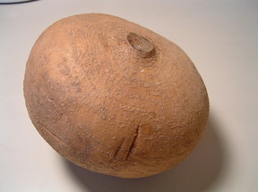 ヒカマとマンゴーのサラダ レシピ