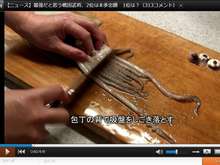 スルメの作り方 レシピ 作り方 By クッキングsパパ クックパッド 簡単おいしいみんなのレシピが368万品