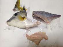 新鮮 ぎまの山芋がけ レシピ 作り方 By マリンブルーマリン クックパッド 簡単おいしいみんなのレシピが359万品