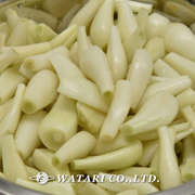 らっきょうの下処理と簡単塩漬け 工程写真 レシピ 作り方 By ワタリ クックパッド 簡単おいしいみんなのレシピが358万品