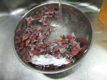 鮮ホタルイカのゆで方 レシピ 作り方 By S S父ちゃん クックパッド 簡単おいしいみんなのレシピが361万品