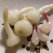 超簡単 アサツキとノビルの球根のピクルス レシピ 作り方 By 0円農業 クックパッド 簡単おいしいみんなのレシピが358万品