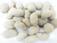 乾燥ジャガイモの作り方 食品乾燥機 レシピ 作り方 By ラボネクト クックパッド 簡単おいしいみんなのレシピが365万品