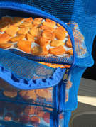 次郎柿で干し柿 レシピ 作り方 By Arisu クックパッド 簡単おいしいみんなのレシピが359万品