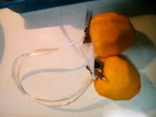 甘柿でも渋柿でも 簡単 干し柿の作り方 レシピ 作り方 By Maho クックパッド 簡単おいしいみんなのレシピが355万品