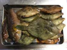 根魚 カワハギ カワハギ ベラ の煮付け レシピ 作り方 By ナリアキ クックパッド 簡単おいしいみんなのレシピが353万品