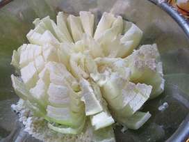 すべての美しい花の画像 50 玉ねぎ 花 フライ