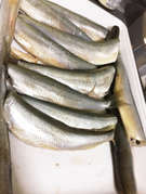 ふわふわおいしいチカの唐揚げ レシピ 作り方 By 山城国の審神者 クックパッド 簡単おいしいみんなのレシピが354万品