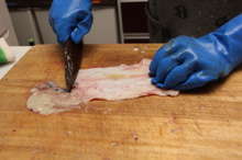 鱈 たら のチュウ 胃袋 レシピ 作り方 By 漁師の浜子 クックパッド 簡単おいしいみんなのレシピが364万品