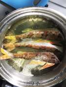 郷土料理 酢醤油でヒメ 白身魚 の塩煮 レシピ 作り方 By 釣り好きマサコ クックパッド 簡単おいしいみんなのレシピが366万品