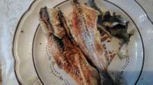 干し氷下魚 かんかい の簡単な食べ方 レシピ 作り方 By Gsdsubaru クックパッド 簡単おいしいみんなのレシピが361万品