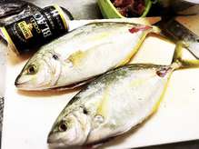 豪華 シマアジの姿造り 塩ごま油で レシピ 作り方 By まるたまん クックパッド 簡単おいしいみんなのレシピが361万品