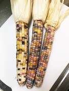 もちとうもろこしの茹で方 レシピ 作り方 By Naomaman クックパッド 簡単おいしいみんなのレシピが359万品